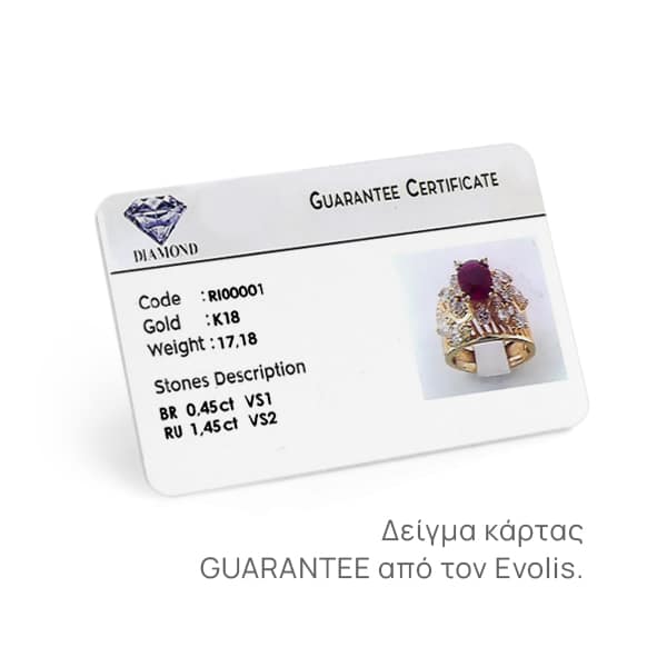 Evolis Primacy SS card-datacare-